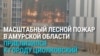 В Восточной Сибири масштабные лесные пожары, один бушует у космодрома Восточный